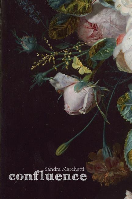 Vorderes Coverbild Confluence