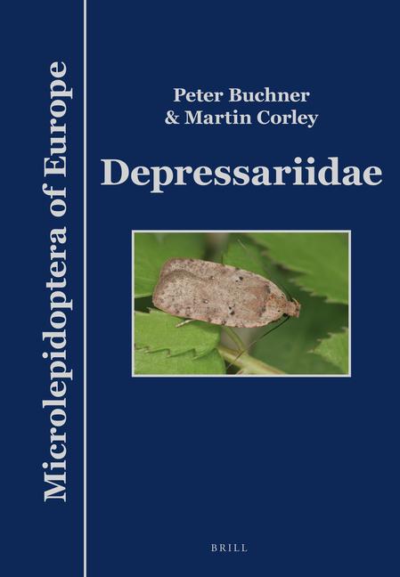 Vorderes Coverbild Depressariidae