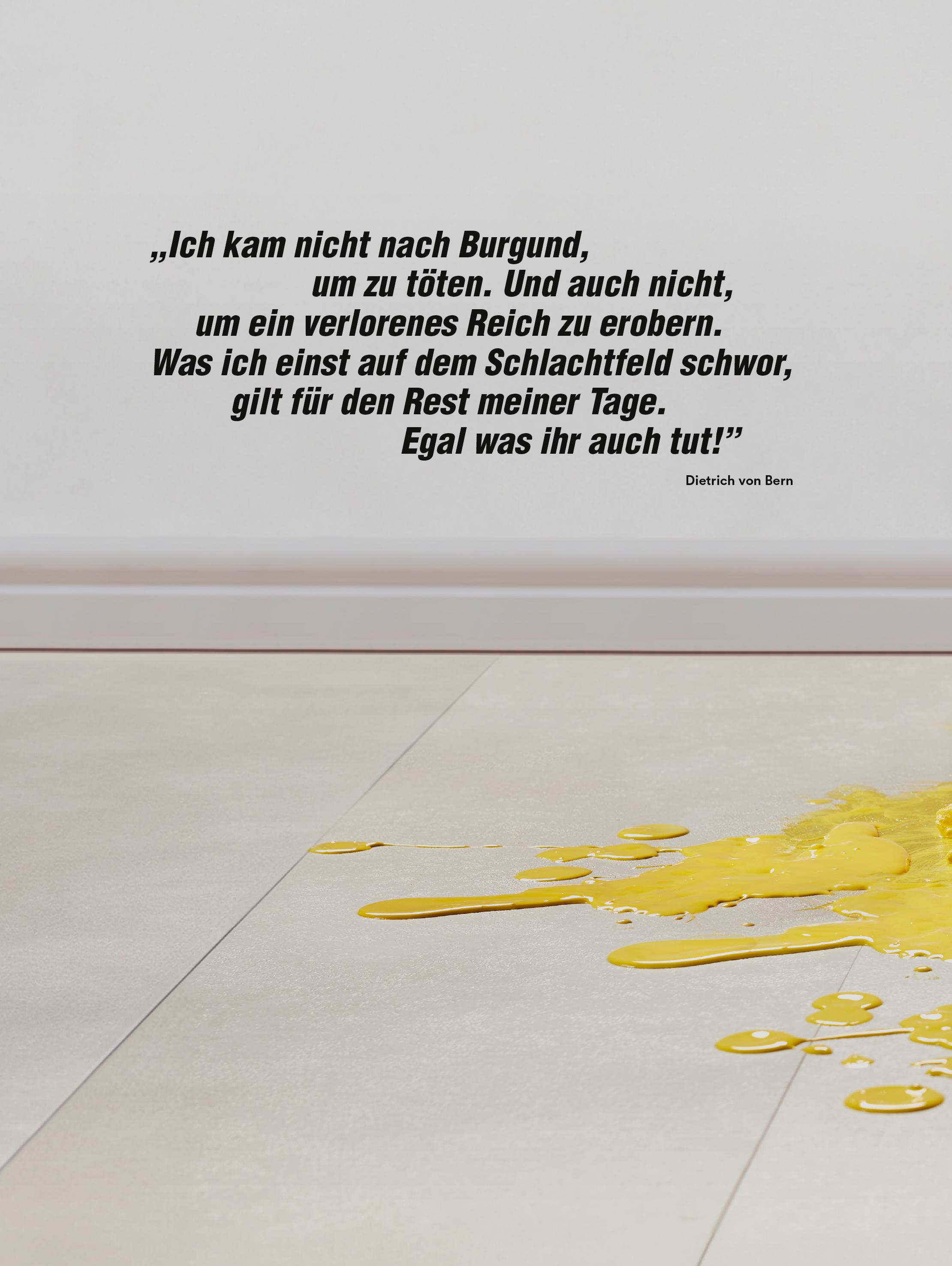 Rückseitencover Der Diplomat