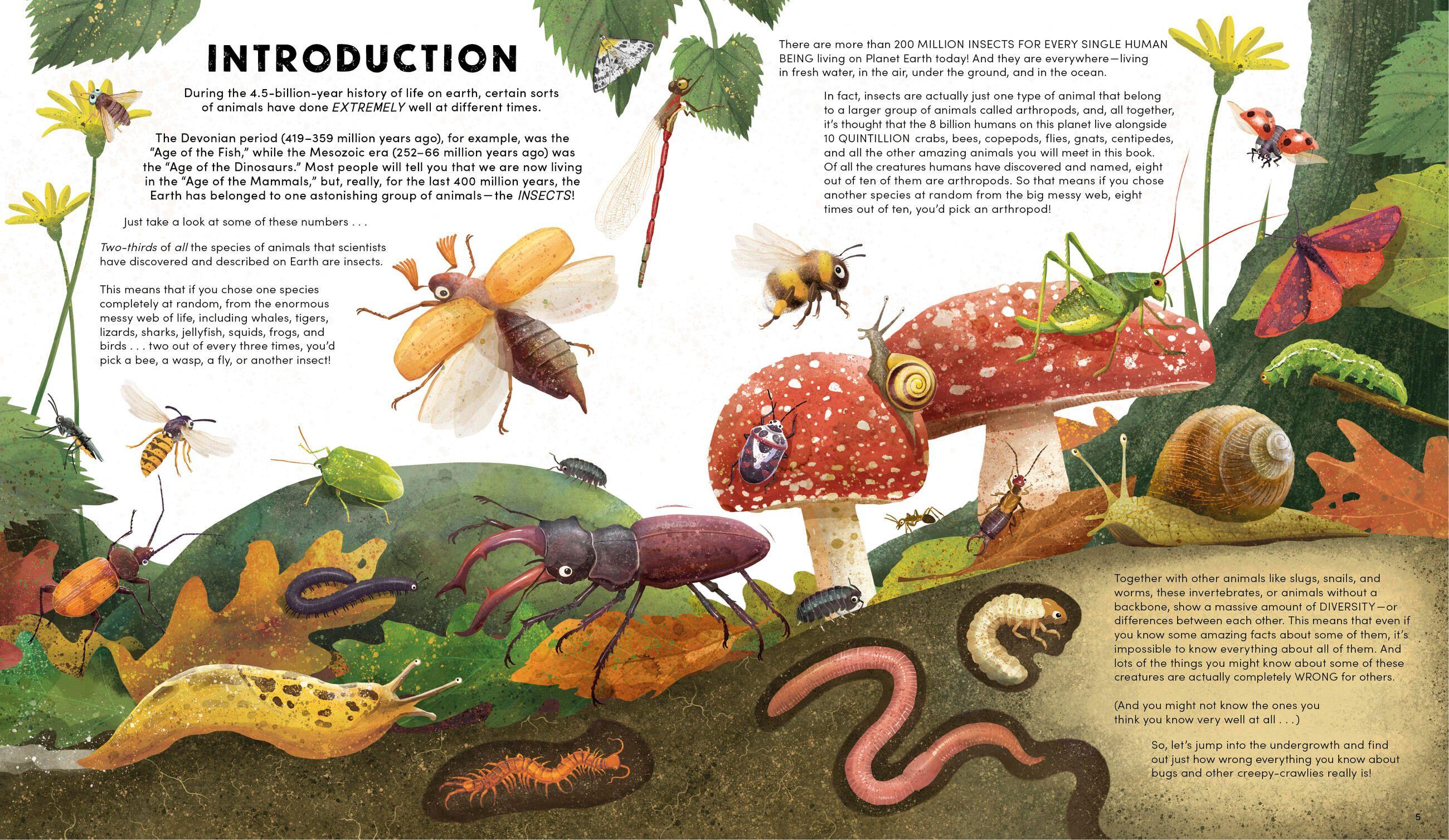 Beispielinhalt (Bild) Everything You Know about Bugs (and Other Tiny Creatures) Is Wrong!