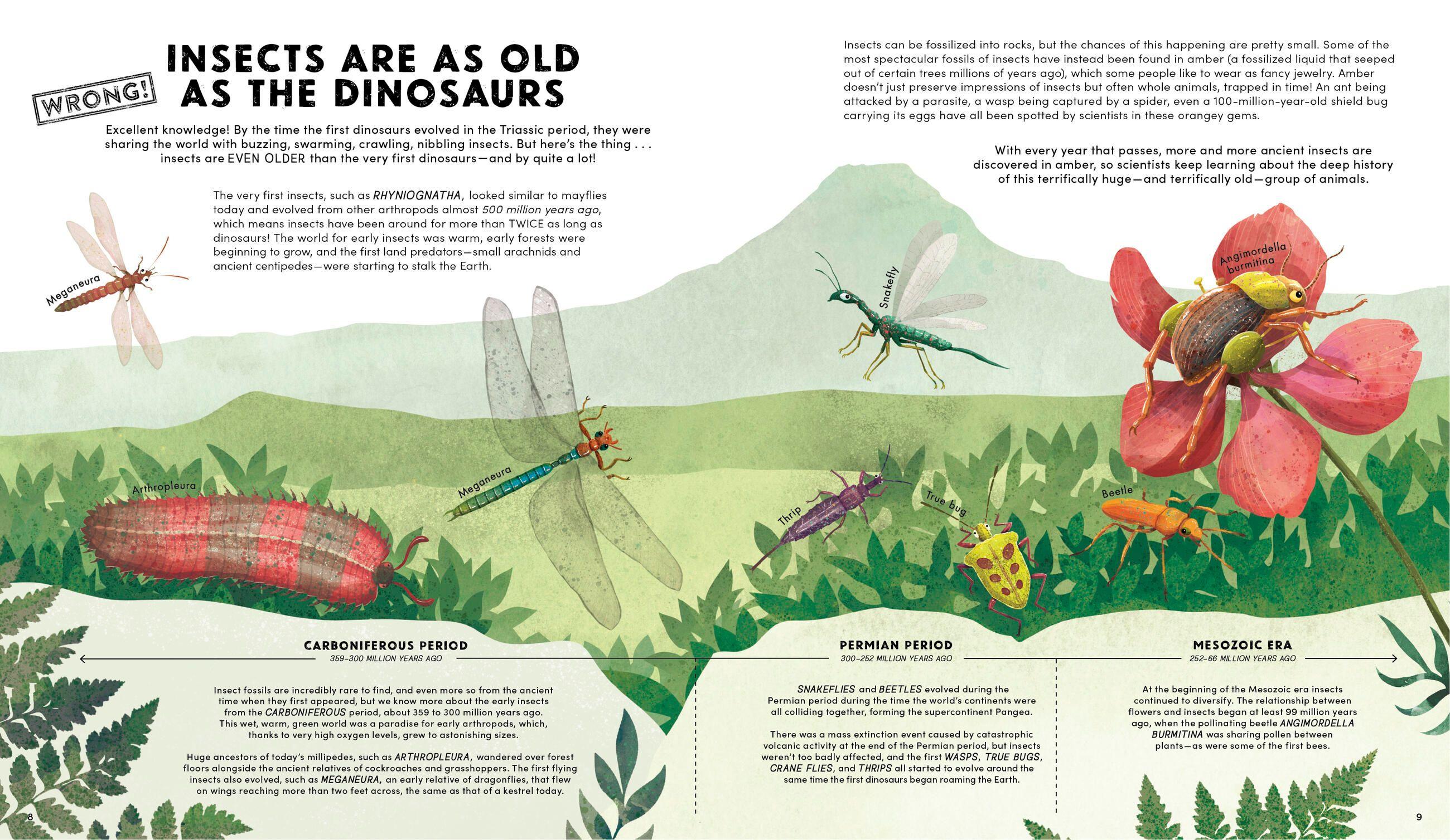 Beispielinhalt (Bild) Everything You Know about Bugs (and Other Tiny Creatures) Is Wrong!