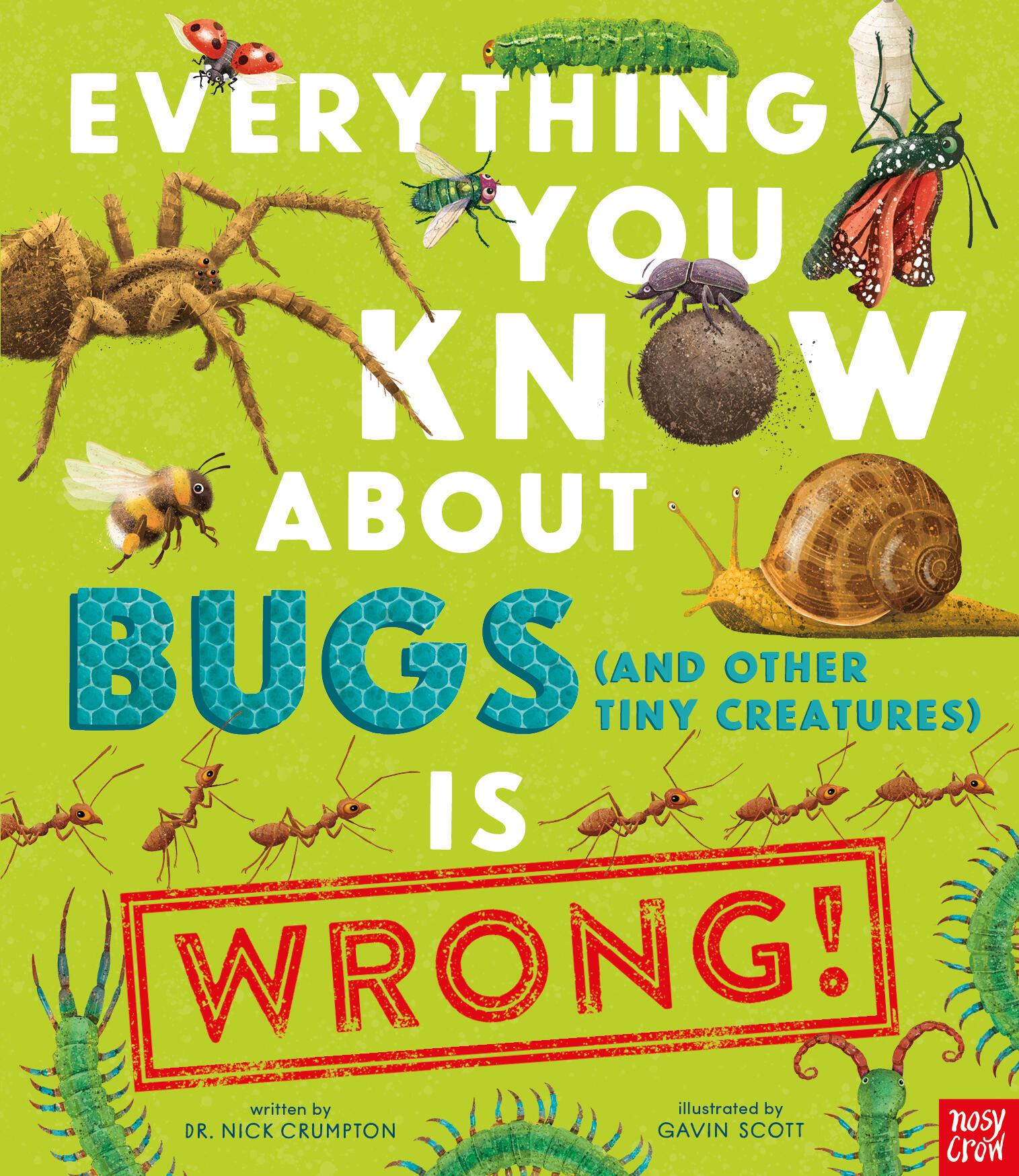 Vorderes Coverbild Everything You Know about Bugs (and Other Tiny Creatures) Is Wrong!