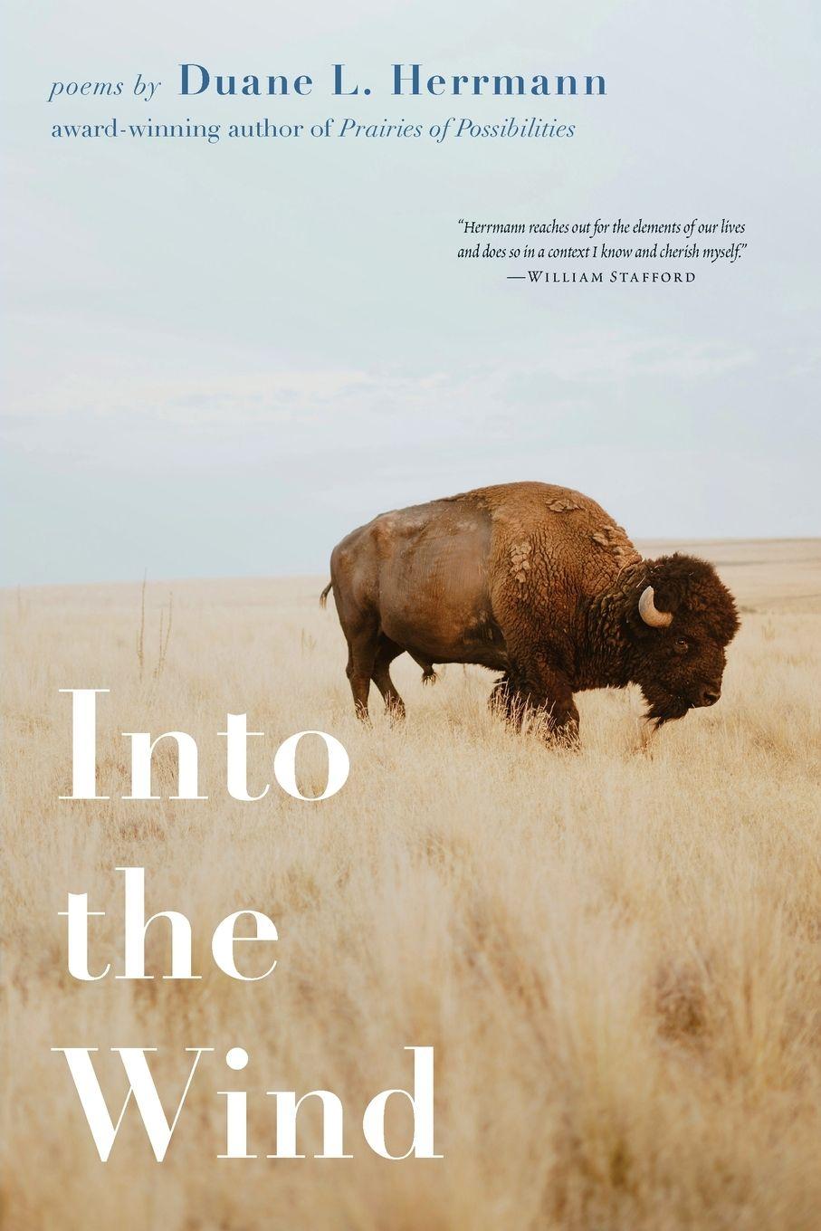 Vorderes Coverbild Into the Wind