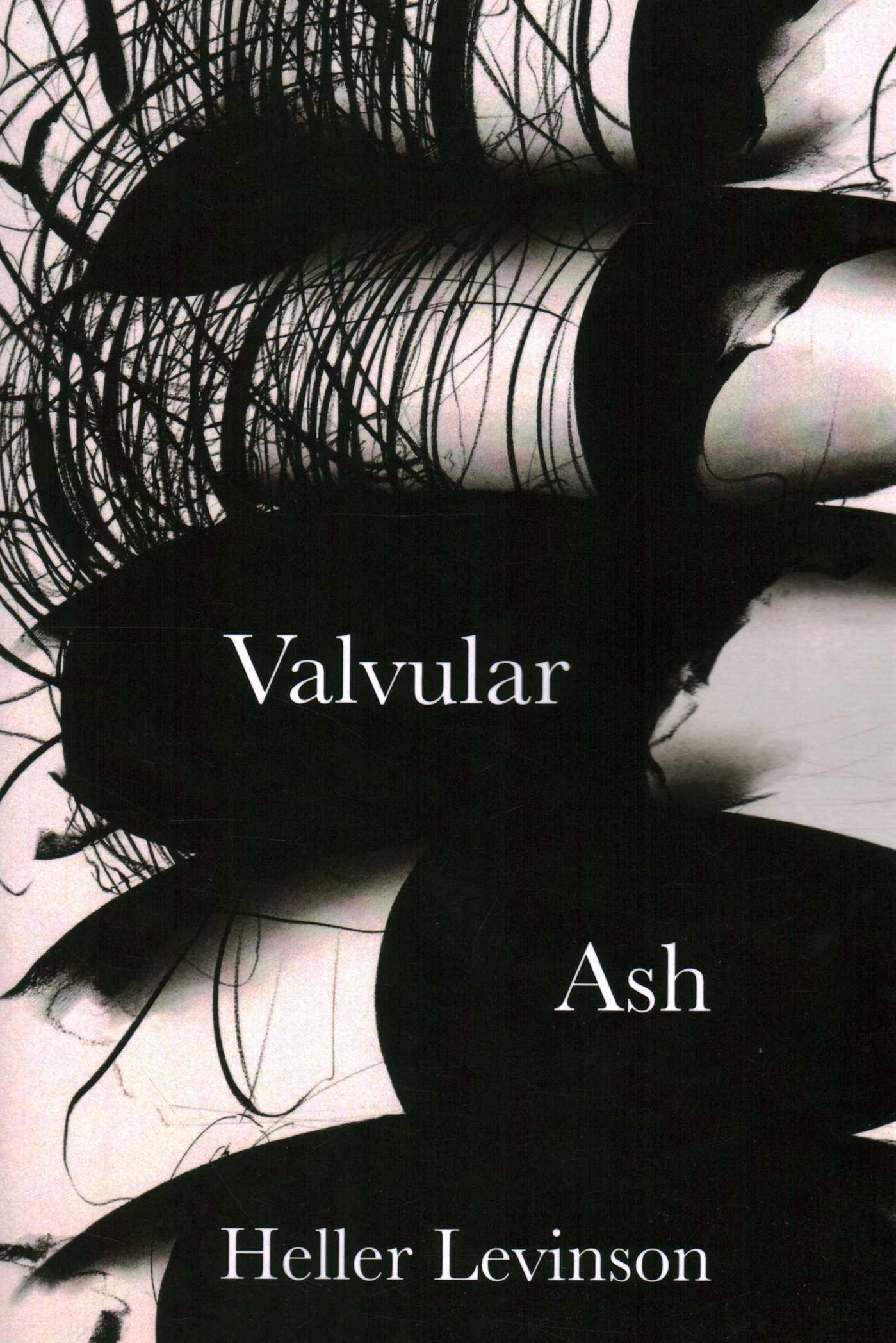 Vorderes Coverbild Valvular Ash
