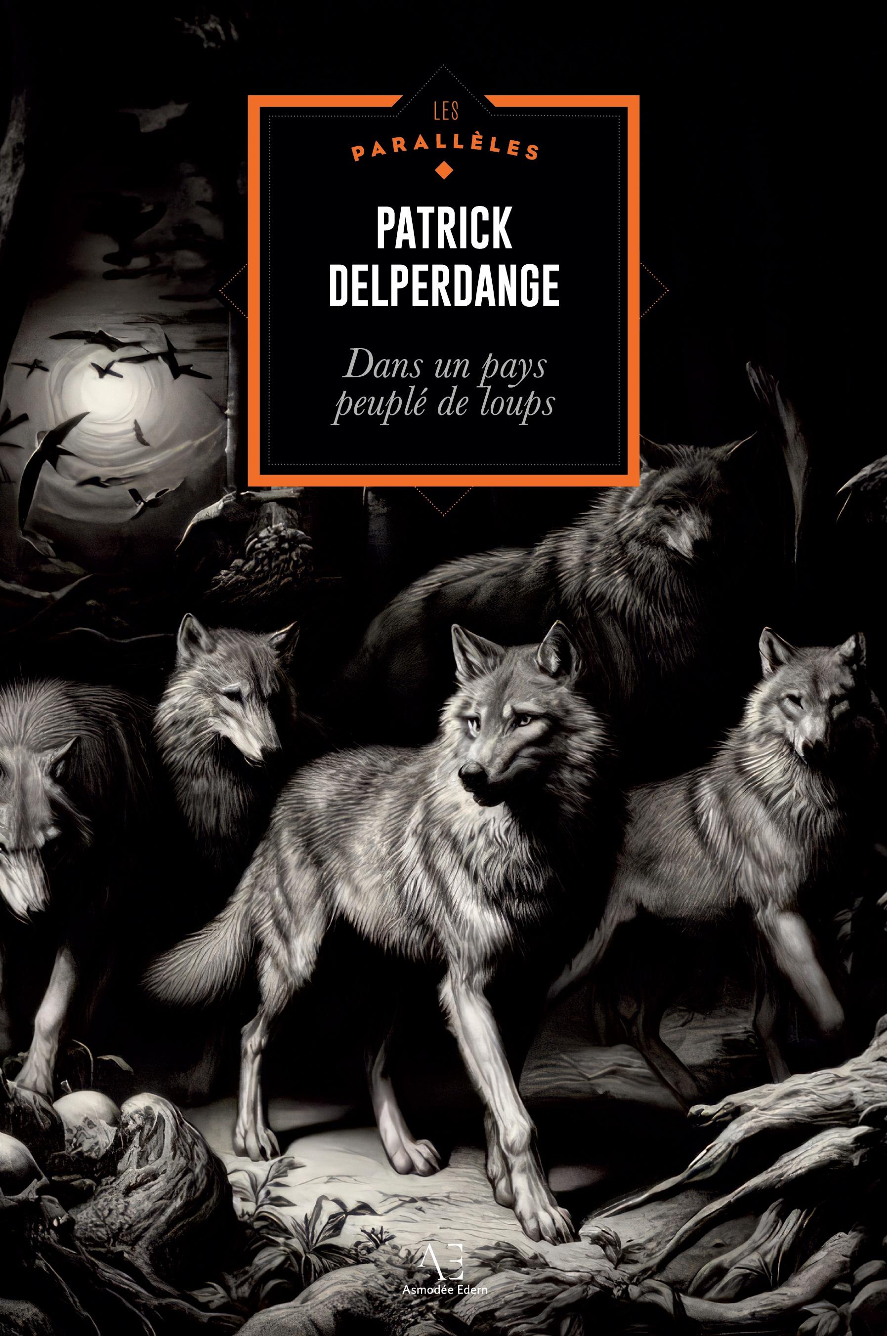 Vorderes Coverbild Dans un pays peuplé de loups
