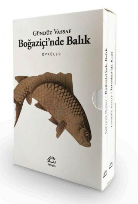 Vorderes Coverbild Bogazicinde Balik - Istanbulda Kedi 2 Kitap Kutulu Set