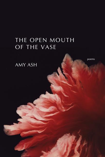 Vorderes Coverbild The Open Mouth of the Vase