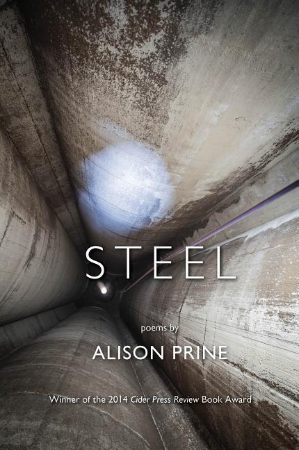 Vorderes Coverbild Steel