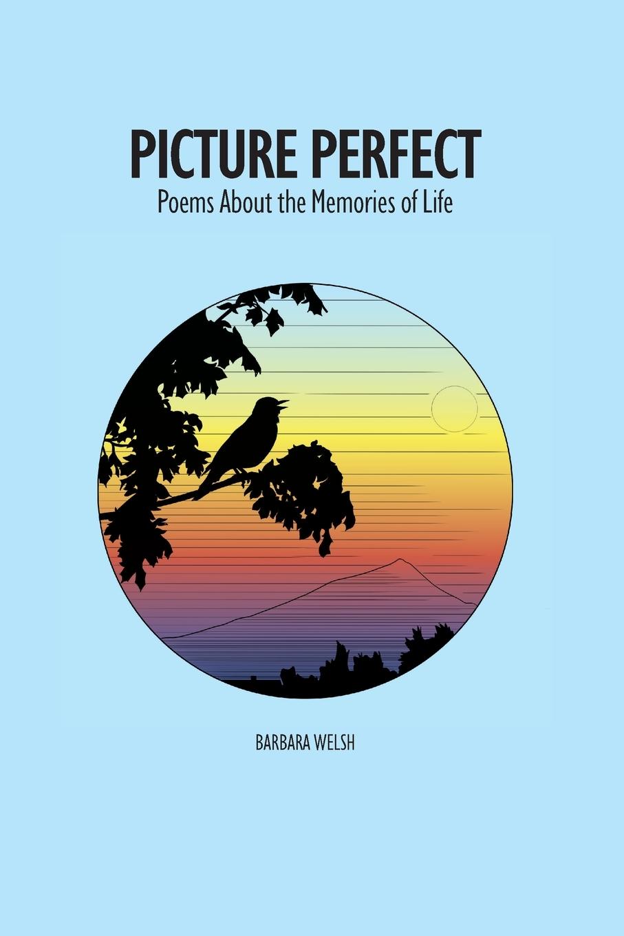 Vorderes Coverbild Picture Perfect