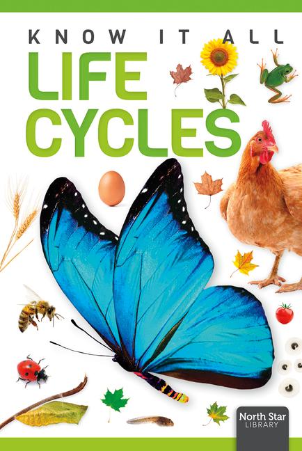 Vorderes Coverbild Life Cycles