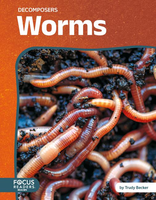 Vorderes Coverbild Worms