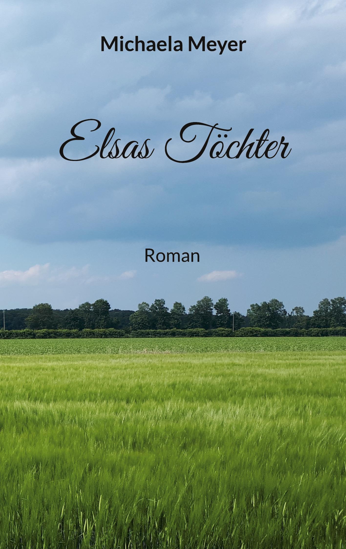 Vorderes Coverbild Elsas Töchter