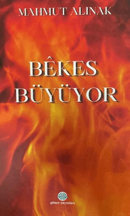 Vorderes Coverbild Bekes Büyüyor
