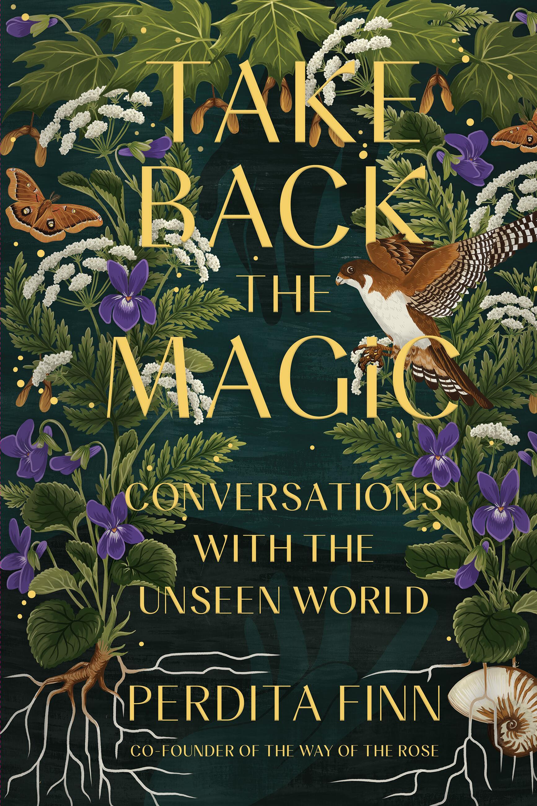 Vorderes Coverbild Take Back the Magic