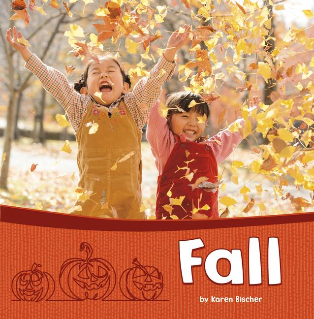 Vorderes Coverbild Fall