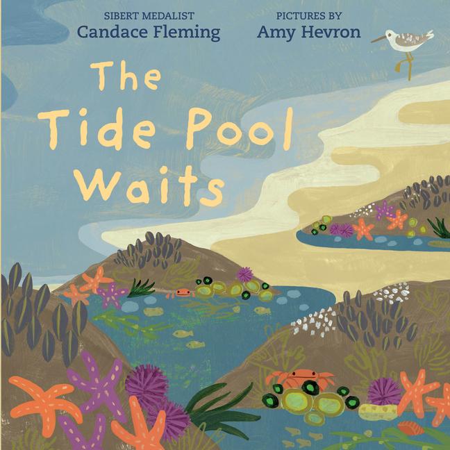 Vorderes Coverbild The Tide Pool Waits