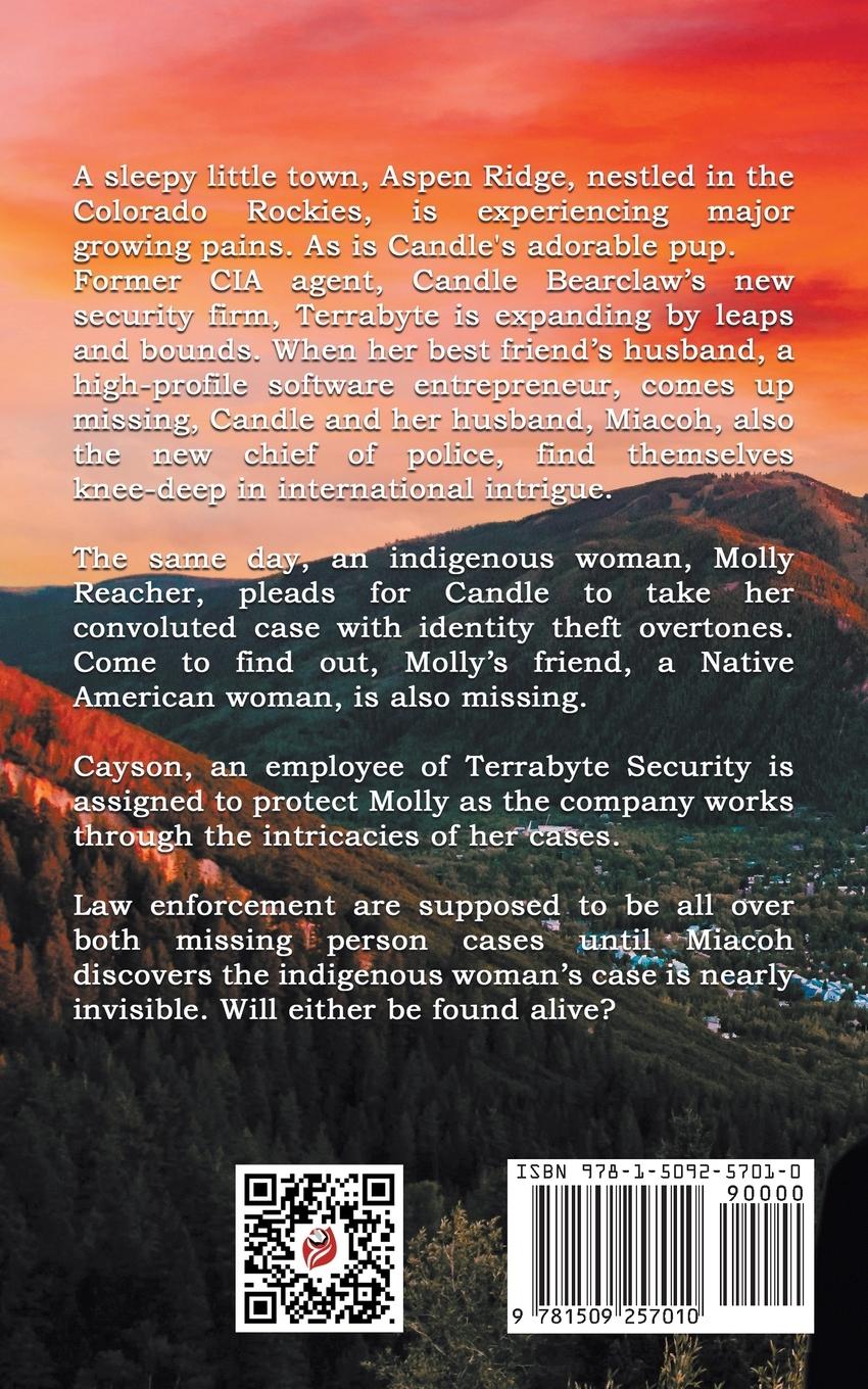 Rückseitencover Terrabyte Security