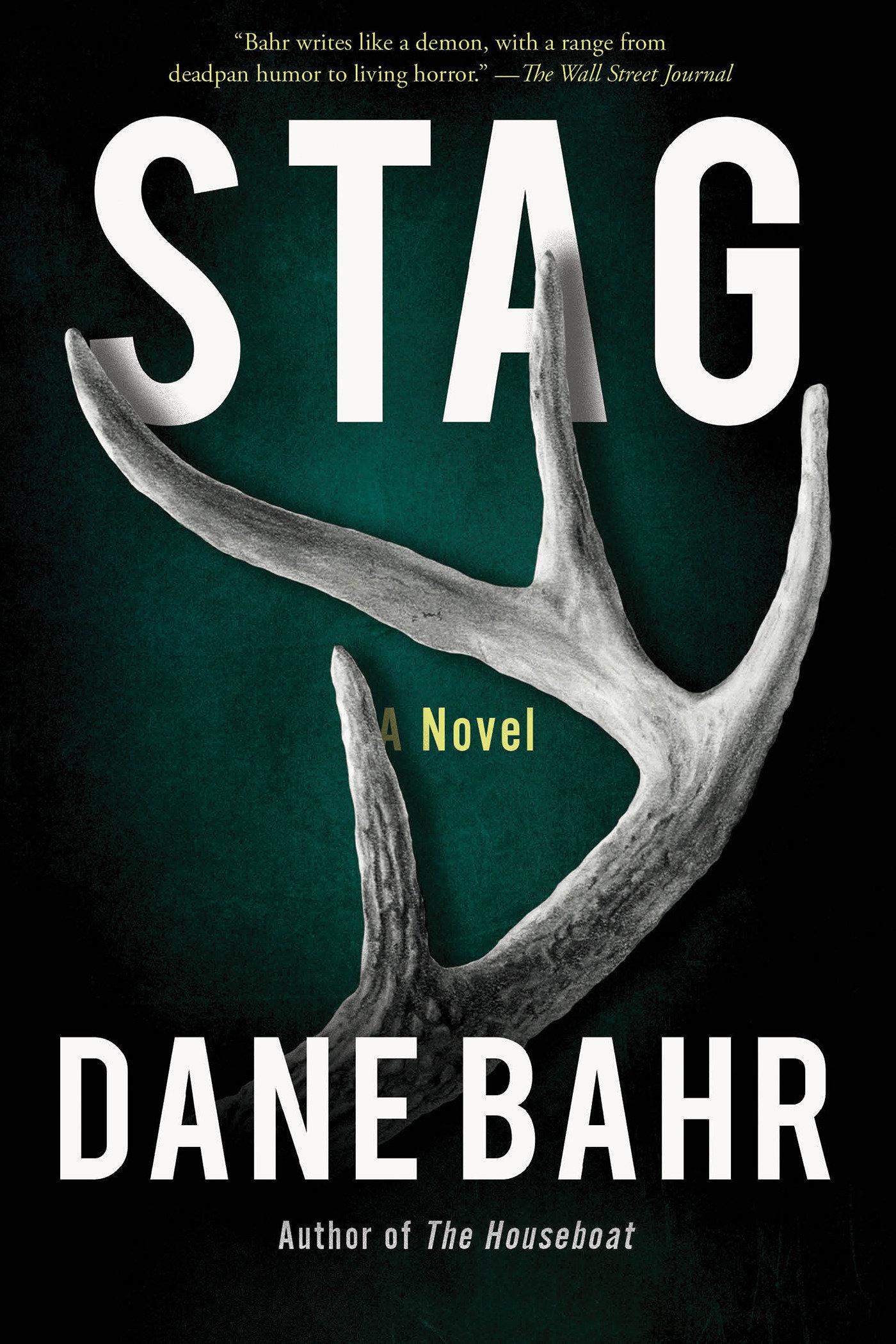 Vorderes Coverbild Stag