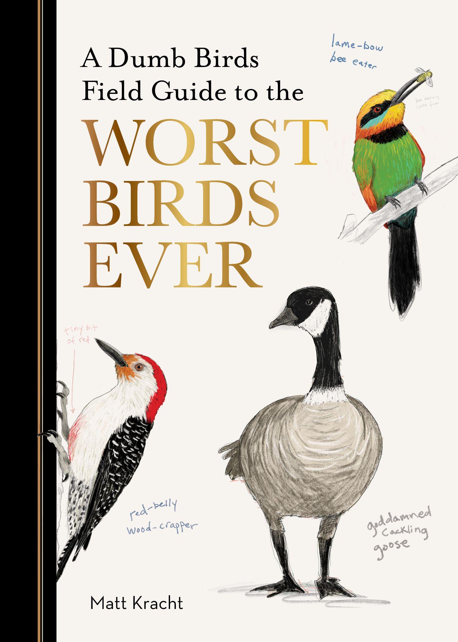 Vorderes Coverbild A Dumb Birds Field Guide to the Worst Birds Ever