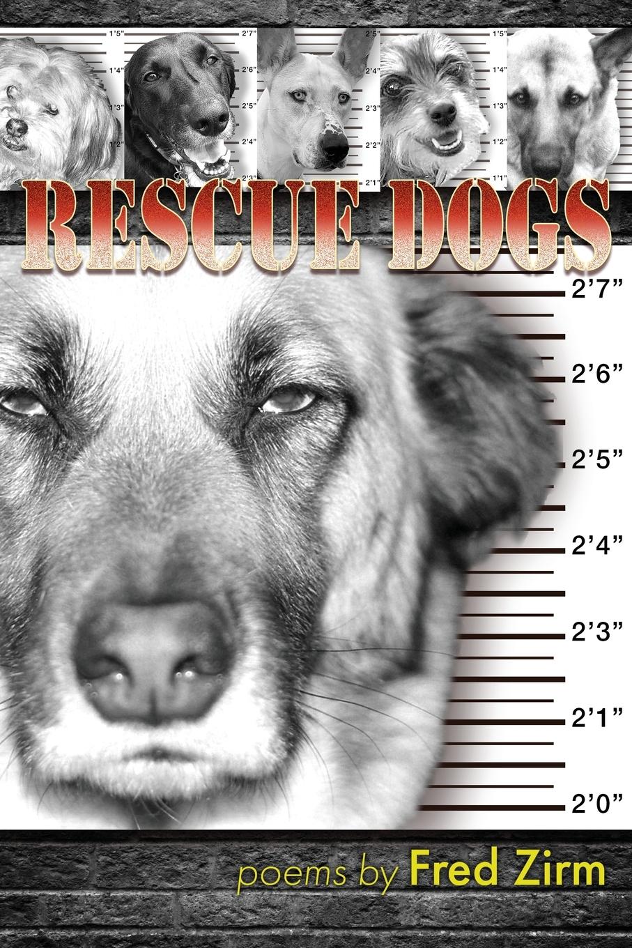 Vorderes Coverbild Rescue Dogs
