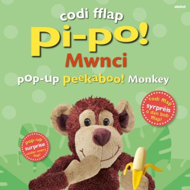 Vorderes Coverbild Codi Fflap Pi-po! Mwnci / Pop-up Peekaboo! Monkey