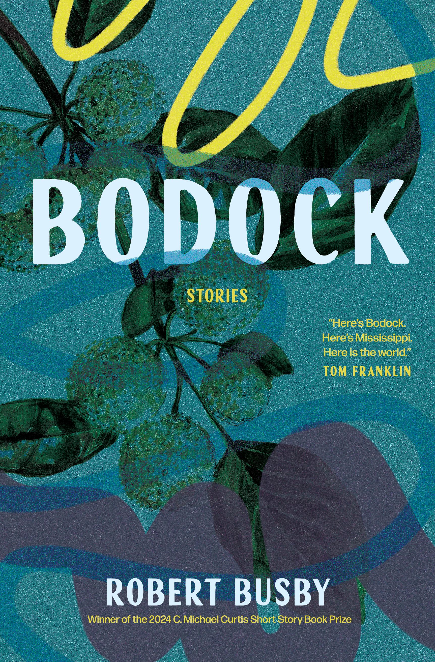 Vorderes Coverbild Bodock: Stories