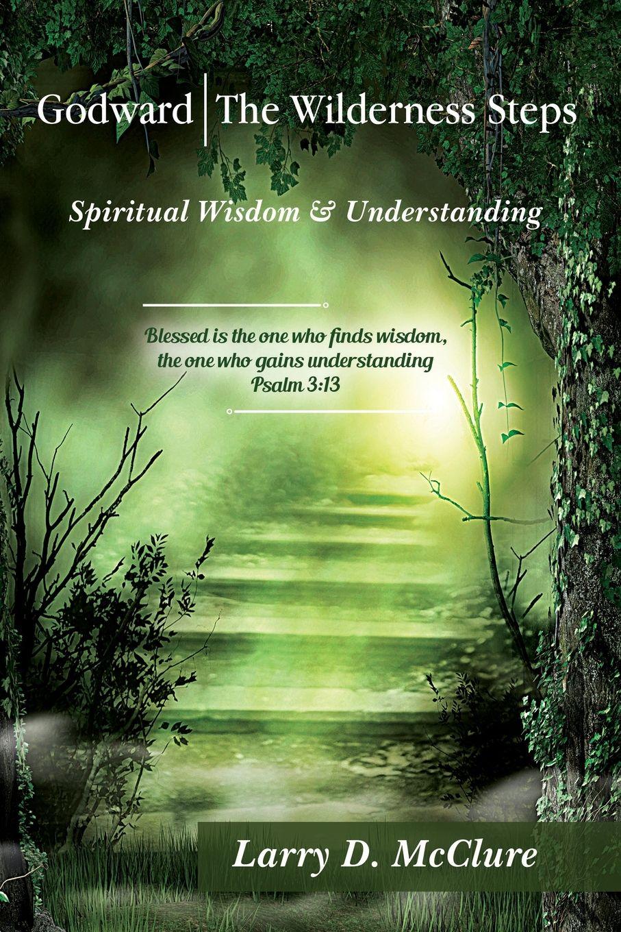 Vorderes Coverbild Godward | The Wilderness Steps