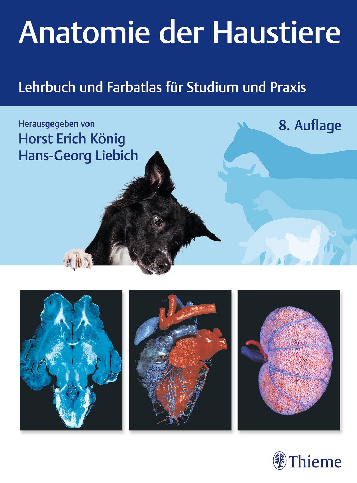 Vorderes Coverbild Anatomie der Haustiere