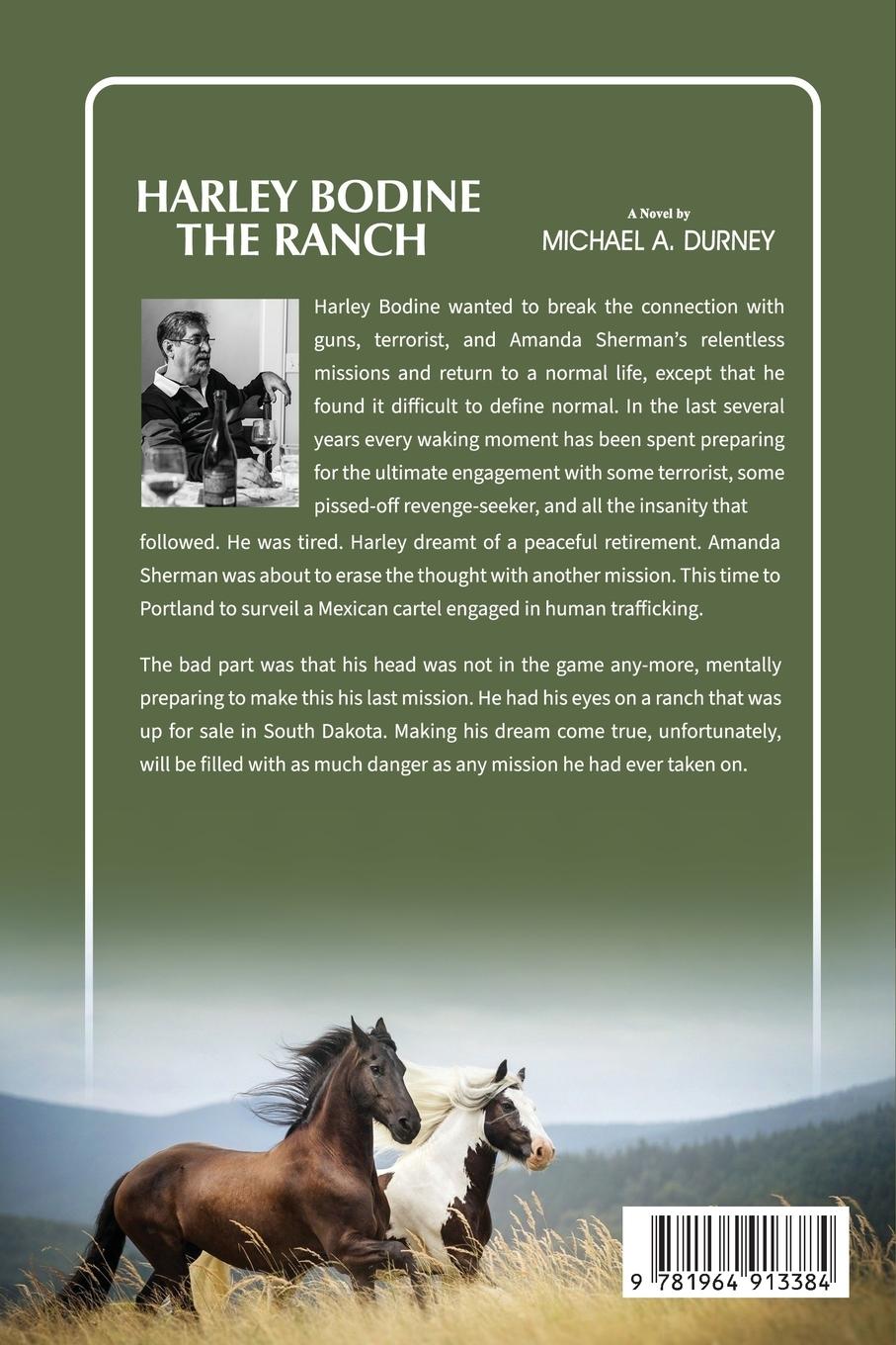 Rückseitencover Chasing Revenge