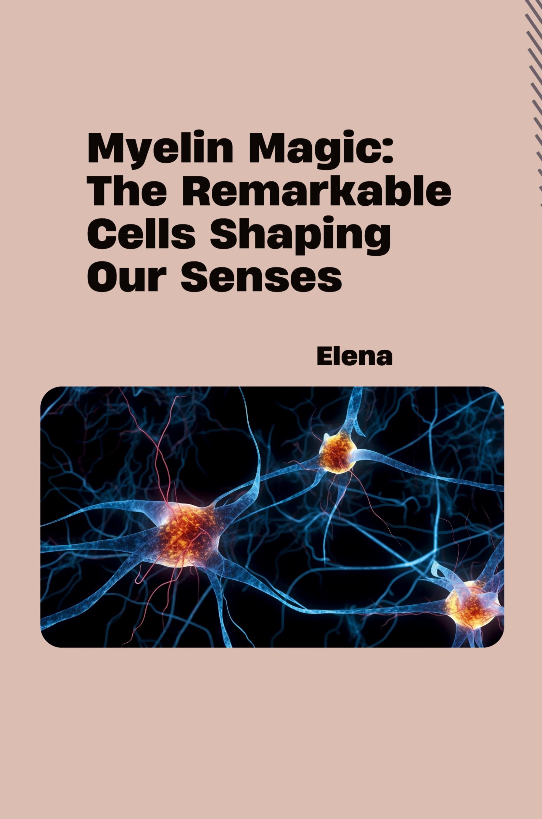Vorderes Coverbild Myelin Magic: The Remarkable Cells Shaping Our Senses