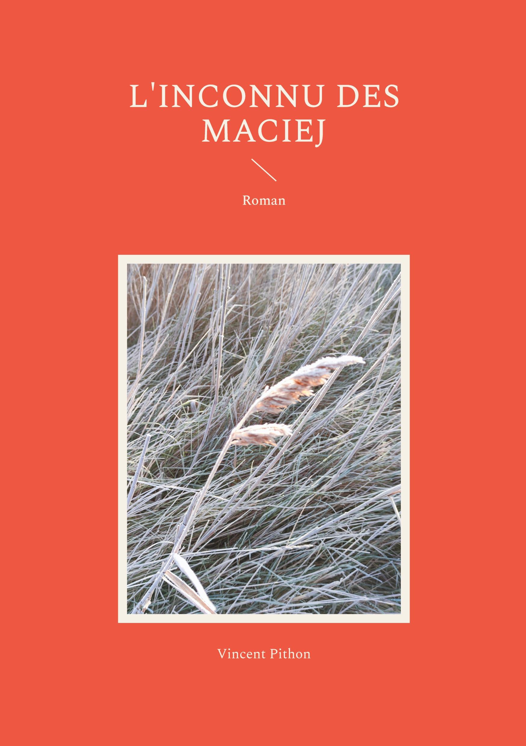 Vorderes Coverbild L'inconnu des Maciej