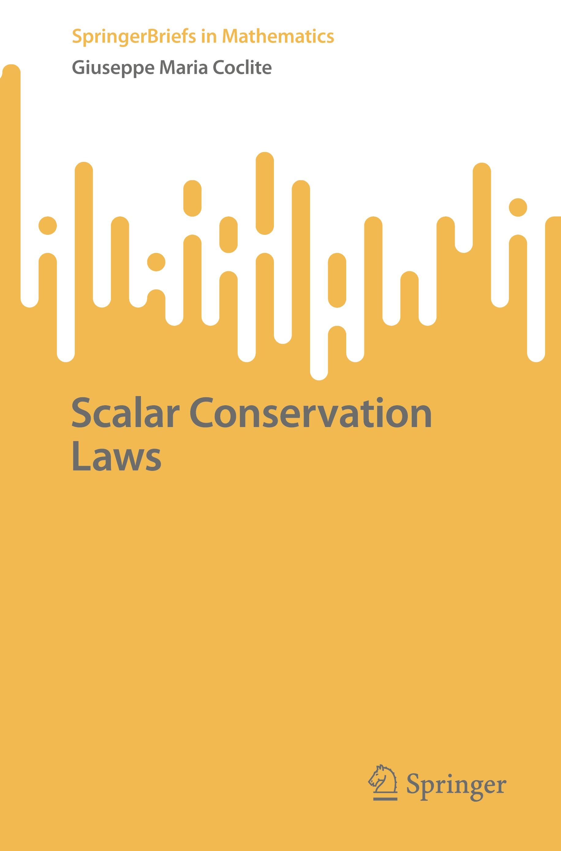 Vorderes Coverbild Scalar Conservation Laws
