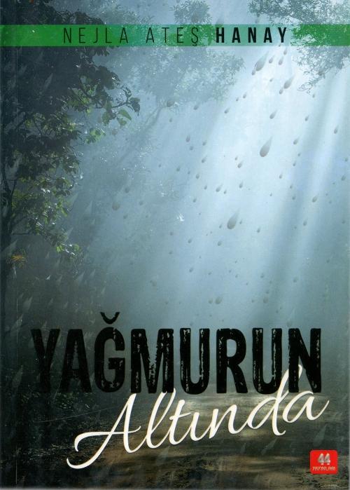 Vorderes Coverbild Yagmurun Altinda