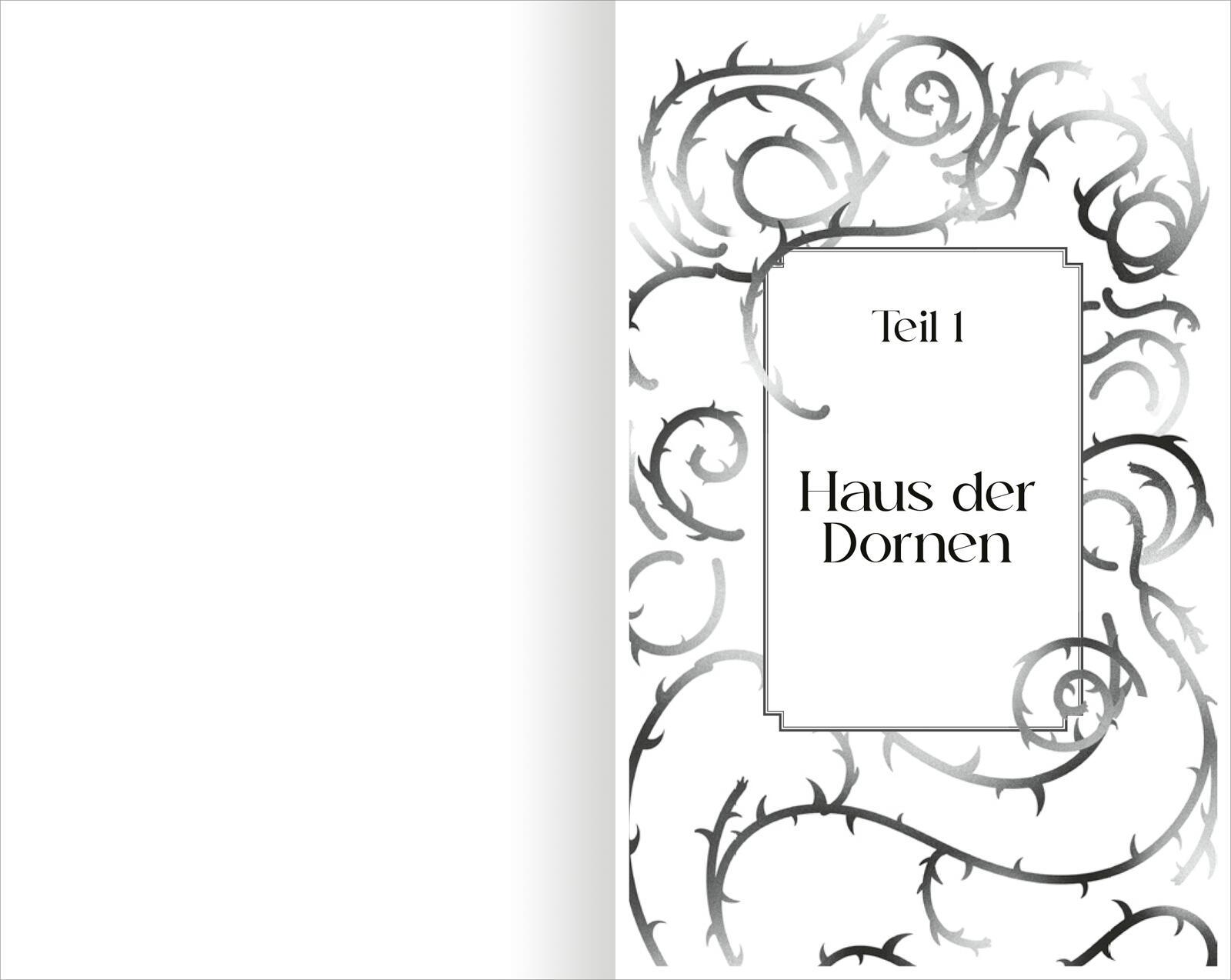 Beispielinhalt (Bild) The North Wind - Reich aus Eis und Schatten (The Four Winds 1)