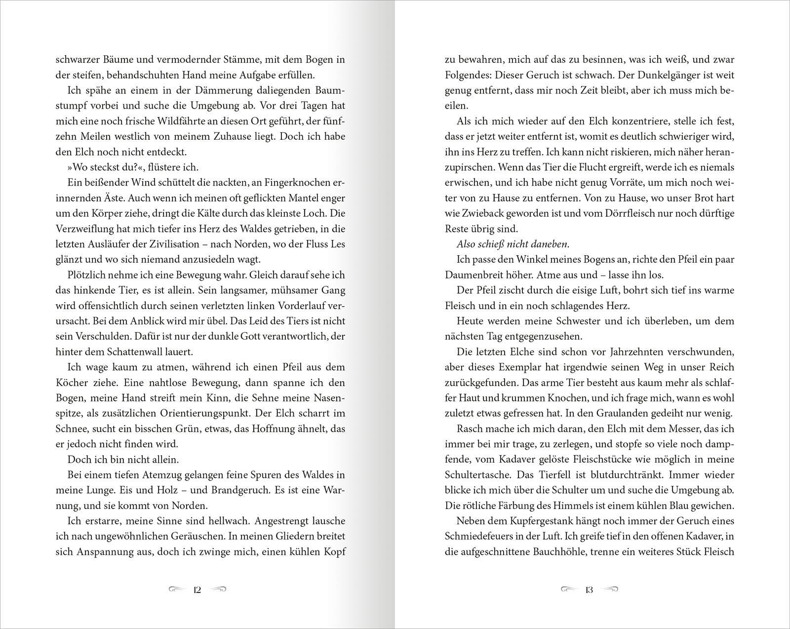 Beispielinhalt (Bild) The North Wind - Reich aus Eis und Schatten (The Four Winds 1)