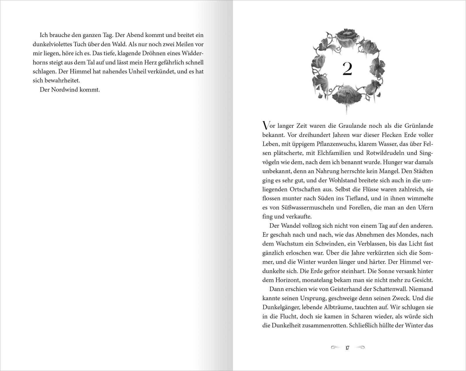 Beispielinhalt (Bild) The North Wind - Reich aus Eis und Schatten (The Four Winds 1)