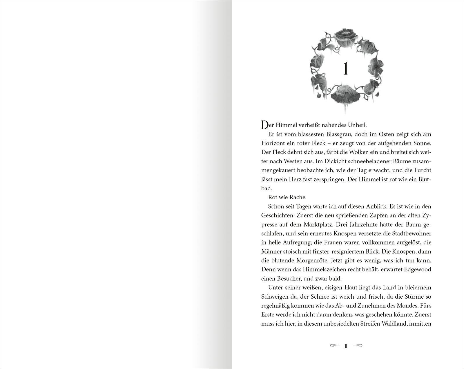 Beispielinhalt (Bild) The North Wind - Reich aus Eis und Schatten (The Four Winds 1)