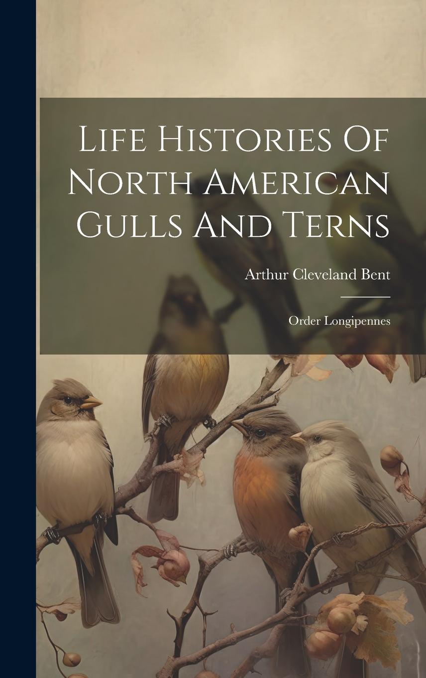 Vorderes Coverbild Life Histories Of North American Gulls And Terns: Order Longipennes