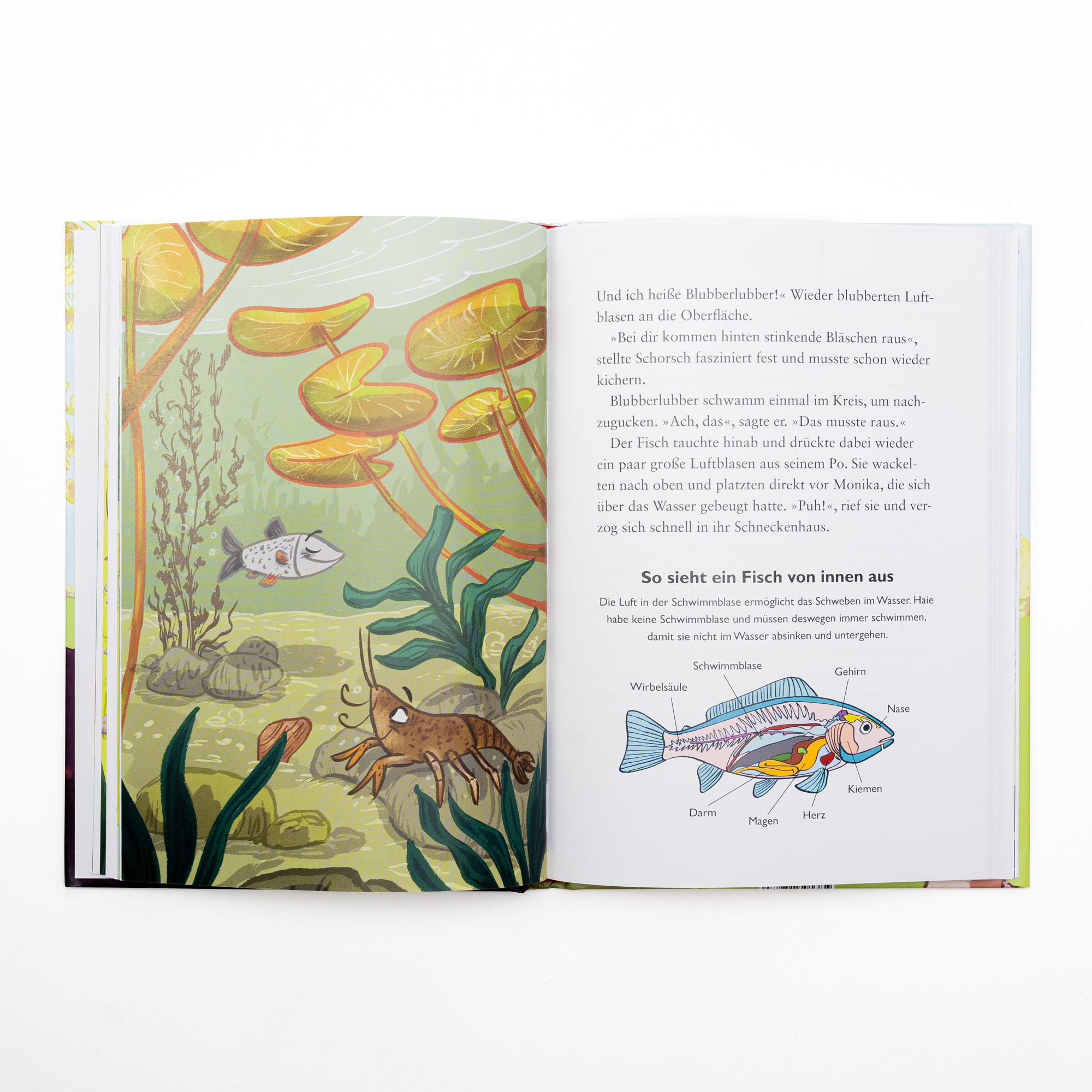 Beispielinhalt (Bild) Die kleine Schnecke Monika Häuschen 2: Warum pupsen Schnecken?