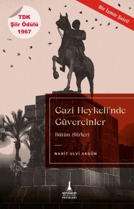 Vorderes Coverbild Gazi Heykelinde Güvercinler