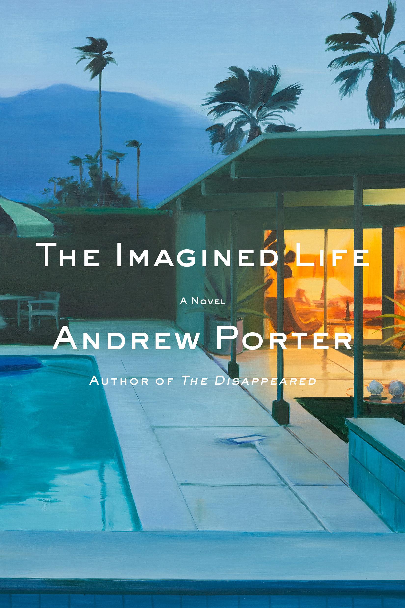 Vorderes Coverbild The Imagined Life