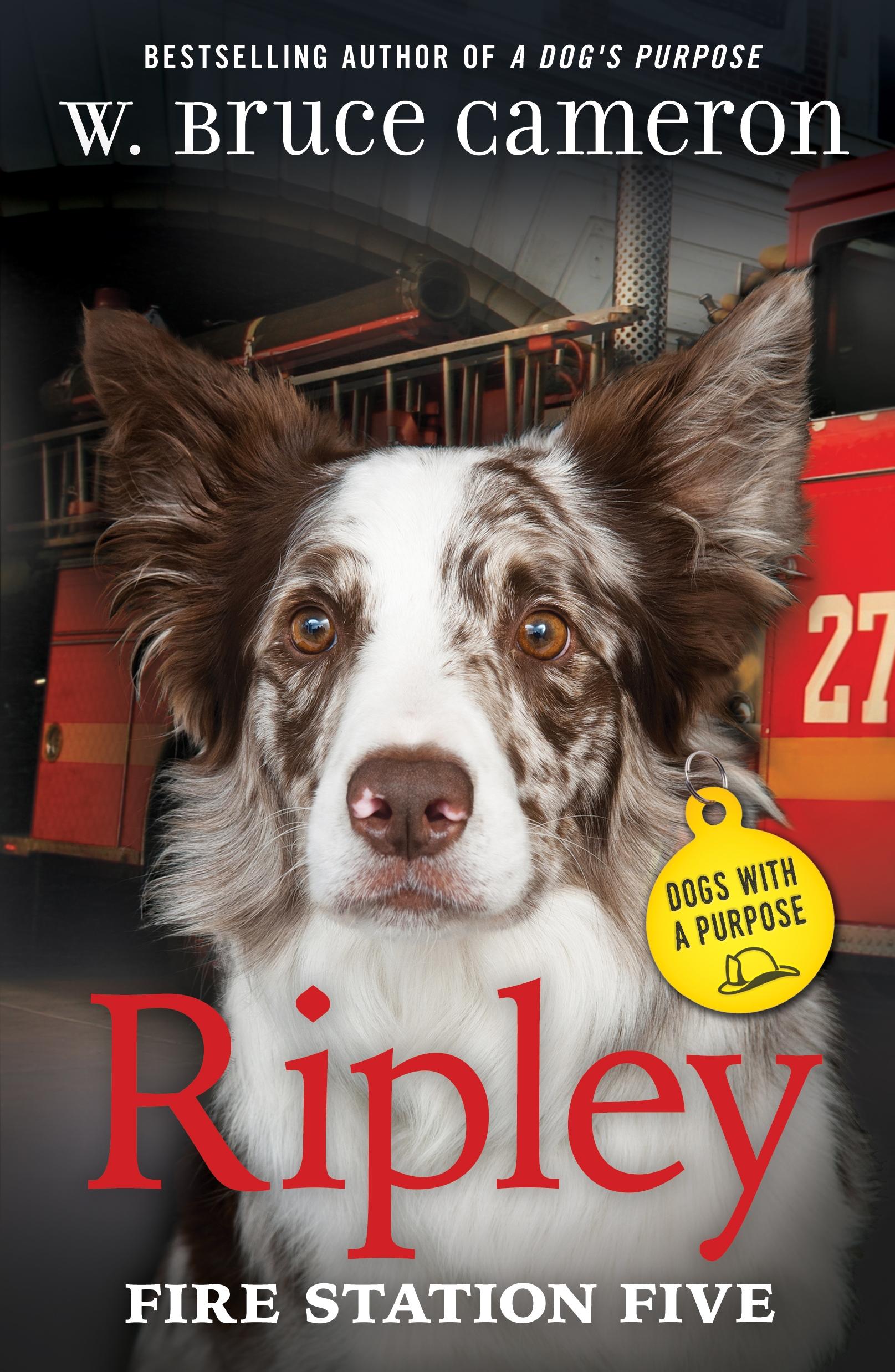Vorderes Coverbild Ripley: Fire Station Five