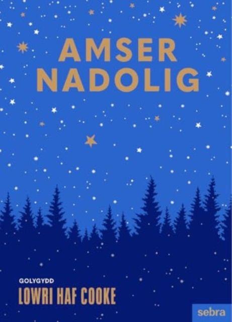 Vorderes Coverbild Amser Nadolig