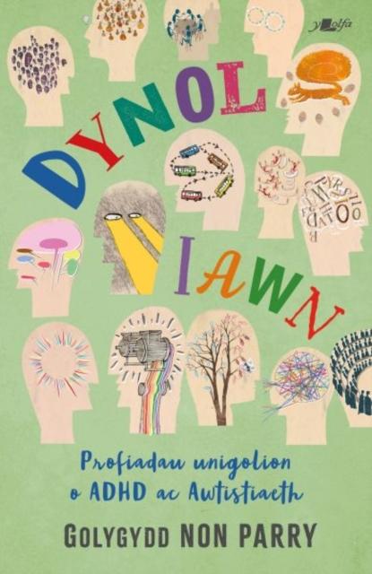 Vorderes Coverbild Dynol Iawn