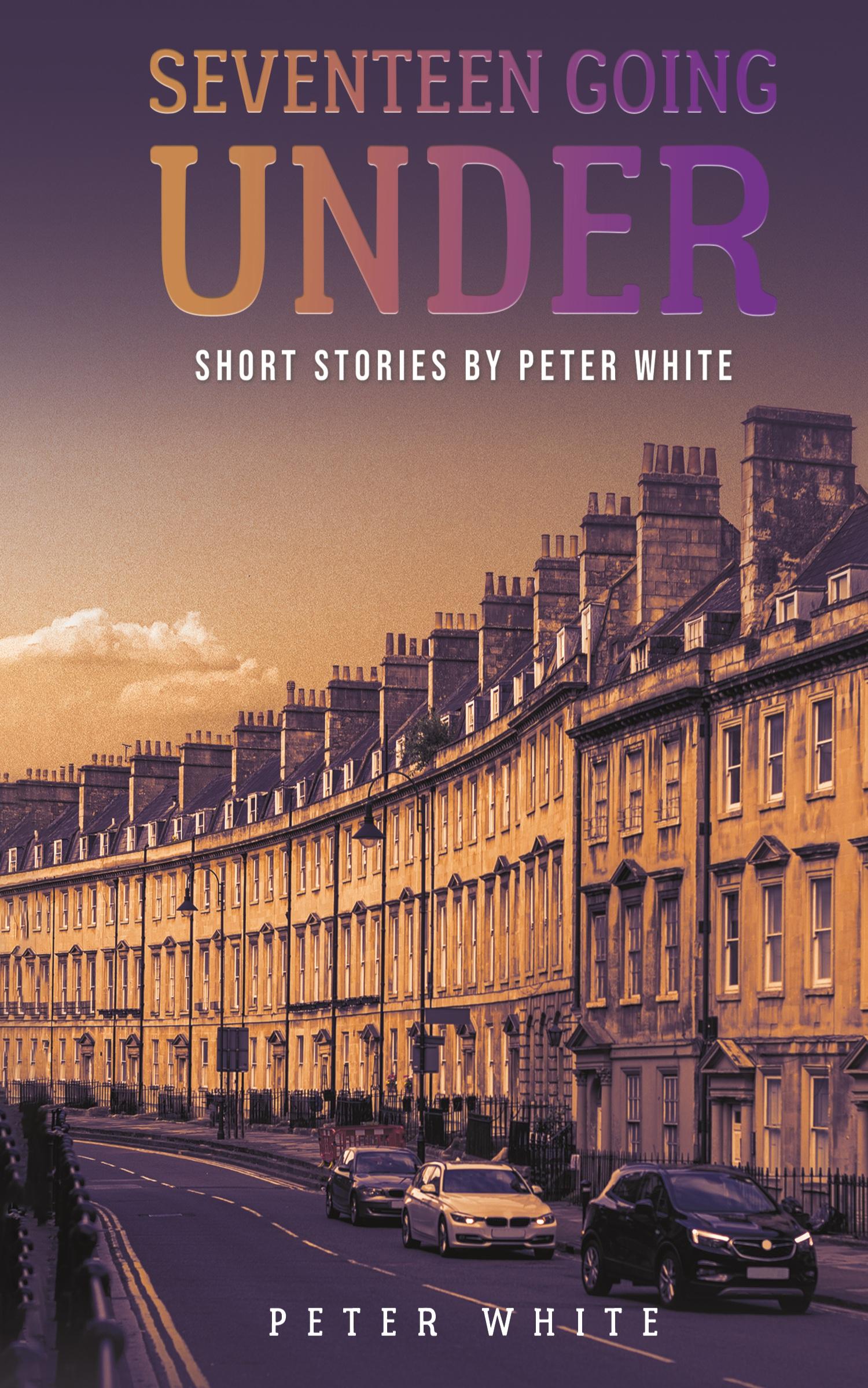 Vorderes Coverbild Seventeen Going Under