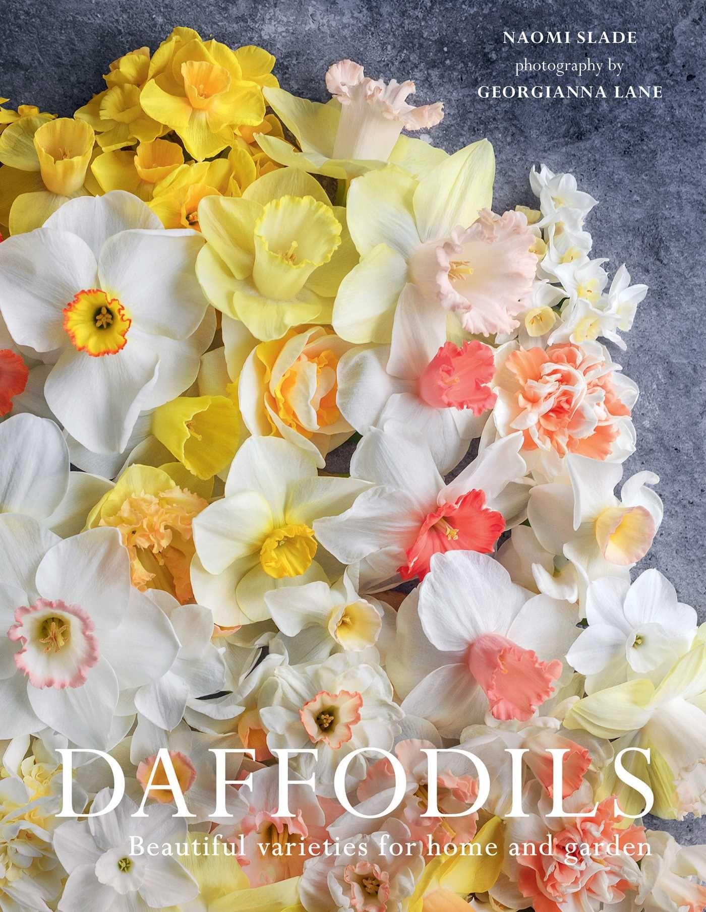 Vorderes Coverbild Daffodils