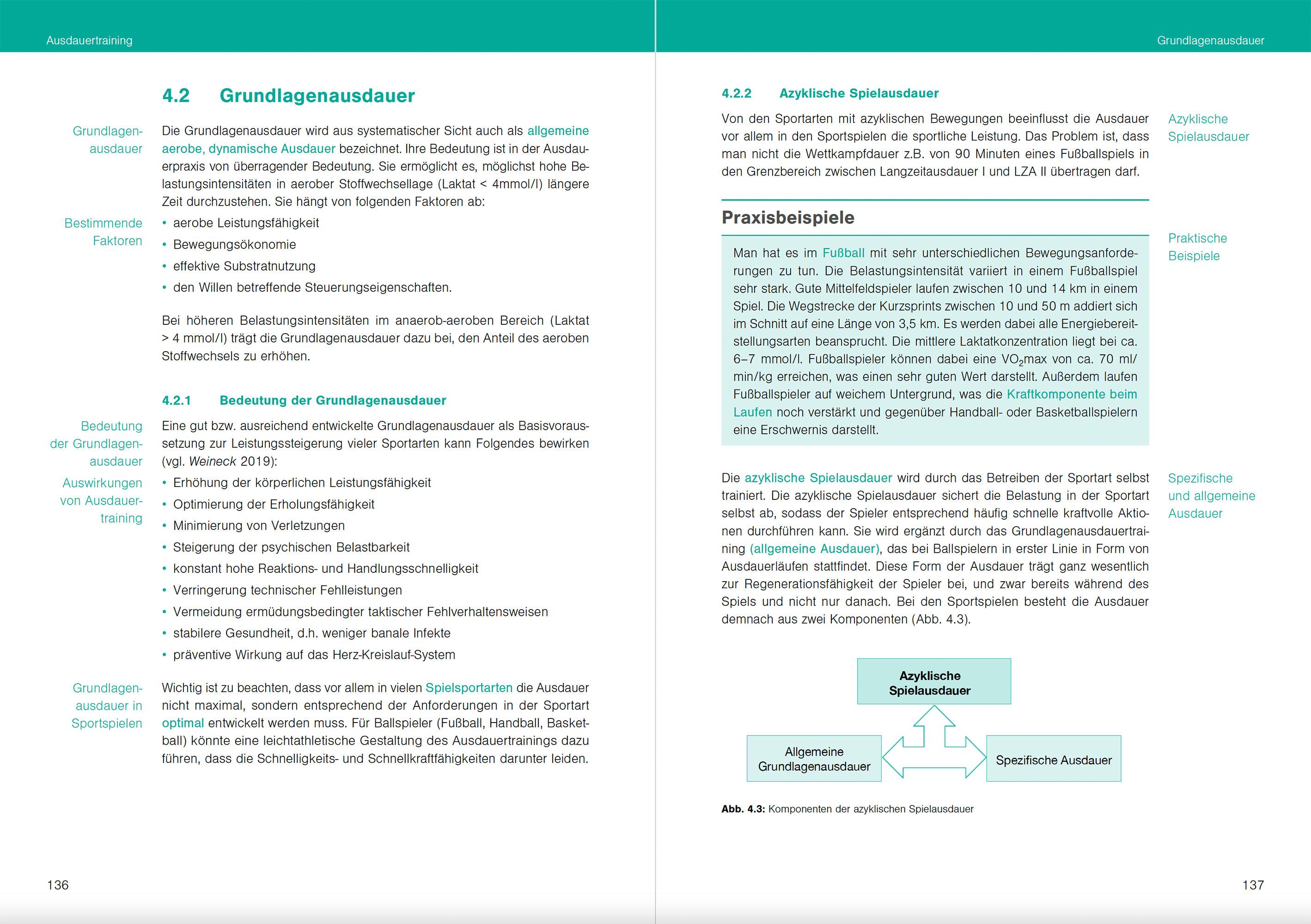 Beispielinhalt (Bild) Optimales Sportwissen