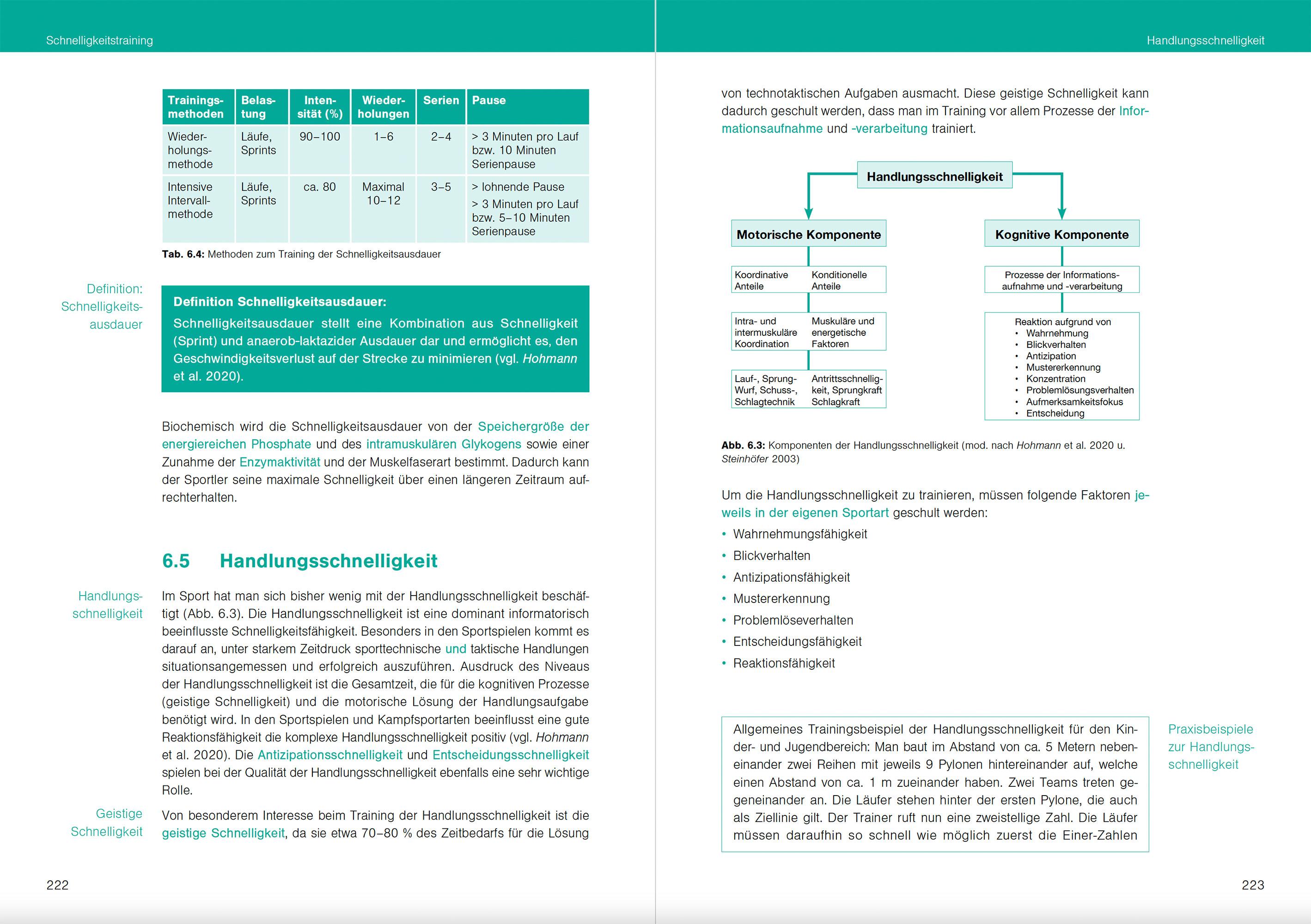 Beispielinhalt (Bild) Optimales Sportwissen