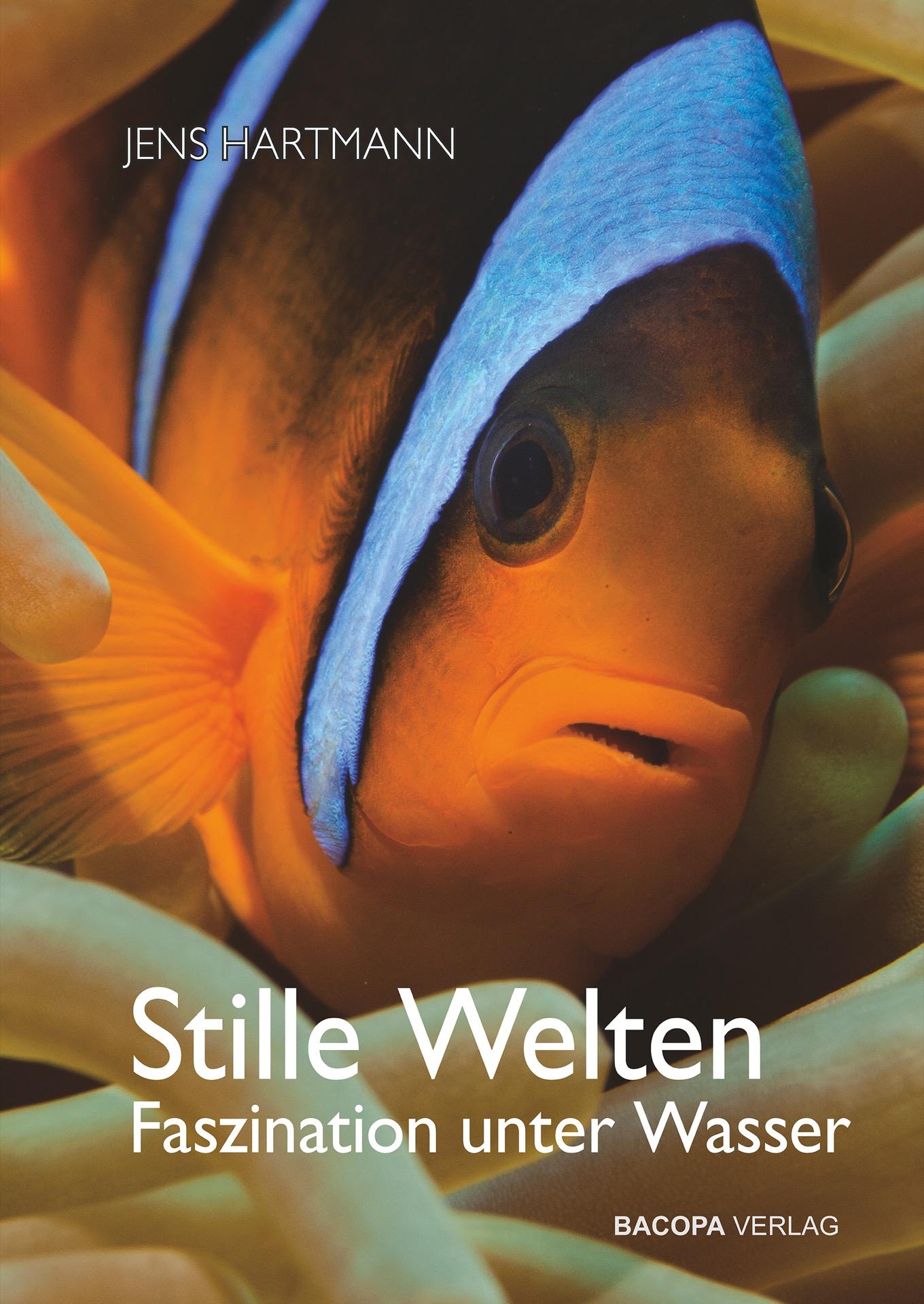 Vorderes Coverbild Stille Welten