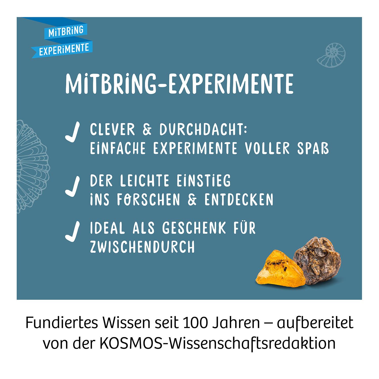 Beispielinhalt (Bild) Fossilien